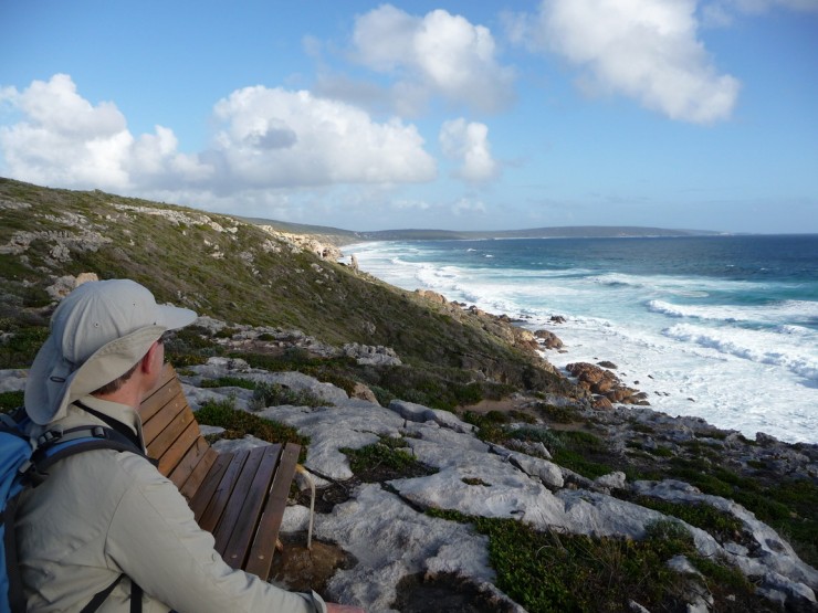 Gazing at the ocean on a Self guided Cape to Cape Track tour
