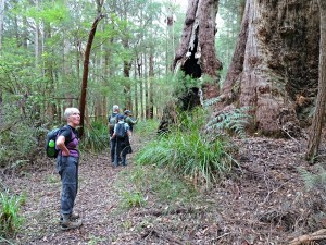 Self guided tours