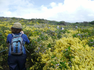 The best time to walk the Cape to Cape track