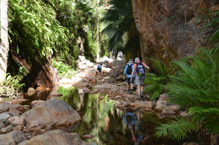 El Questro gorge walk - the Kimberley