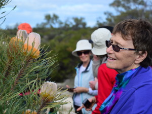 Wildflower tour Kalbarri