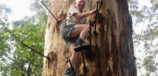 Glenys climbing Gloucester Tree