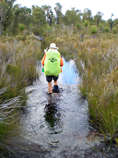 This is why we'll go in Autumn Wading Pingerup Plains Bibbulmun Track