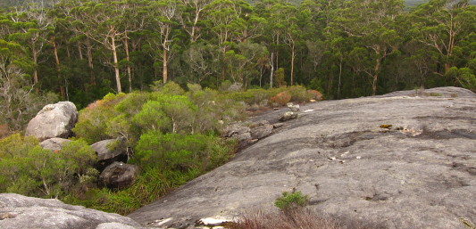 Bibbulmun track granite boulders and forest