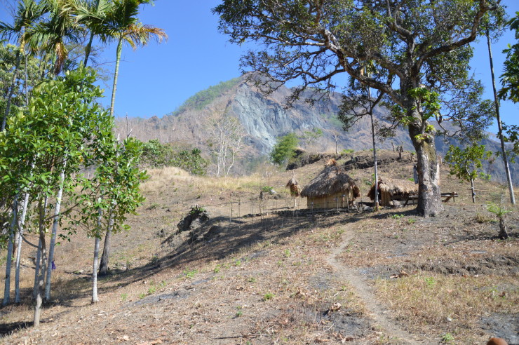 Village life in East Timor
