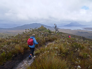 Walking down Mt Eliza, Tasmania