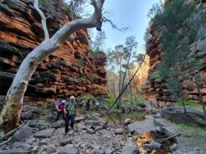 Flinders Ranges guided walking tour