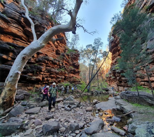 Day 1: Adelaide to Quorn + Alligator Gorge walk