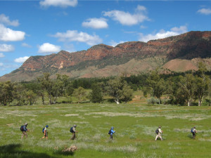 Aroona to Parachilna Gorge Flinders Ranges