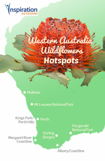 WA wildflower map