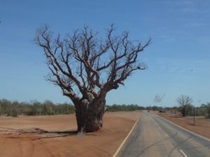 The Kimberley to Perth