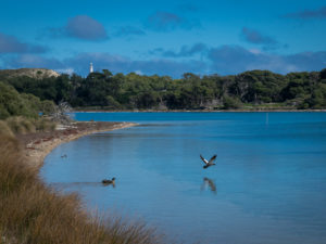 Rottnest Island Walking Trails
