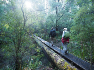 Things to do in Donnelly River