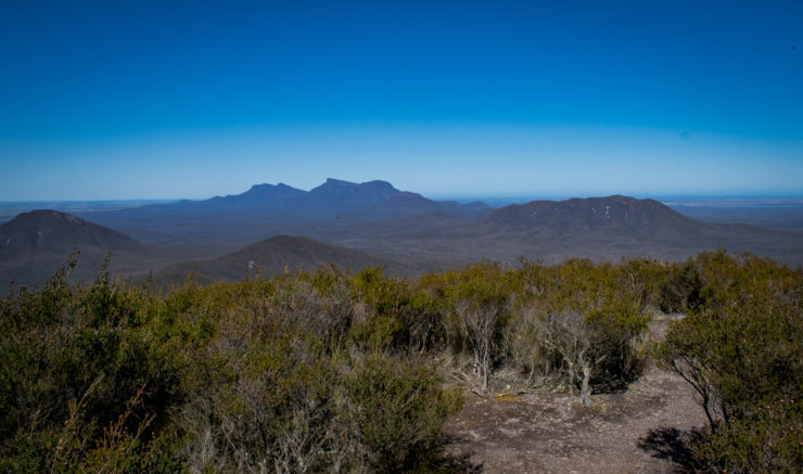 Mount Hassell