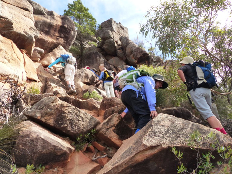 Tanderra Saddle, Flinders Ranges