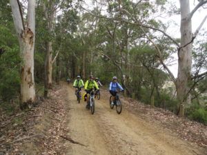 Munda Biddi Bike Tour