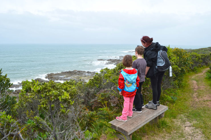 Bushwalking with the kids / grandkids. It’s good for you and good for them