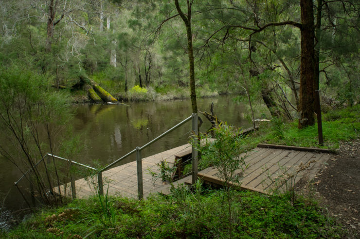 Warren River