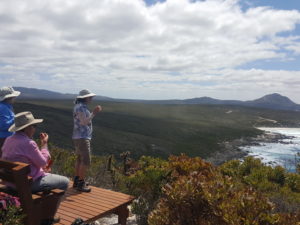 Hakea Trail Outlook, Fitzgerald Rivers National Park