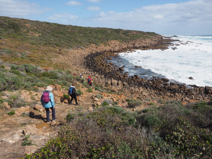 An easier walk on the Cape to Cape track