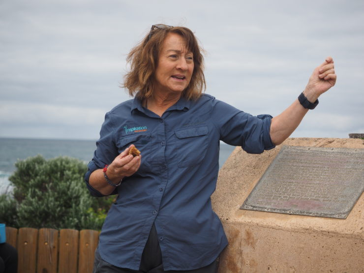 Super Guide Sandra Sisson