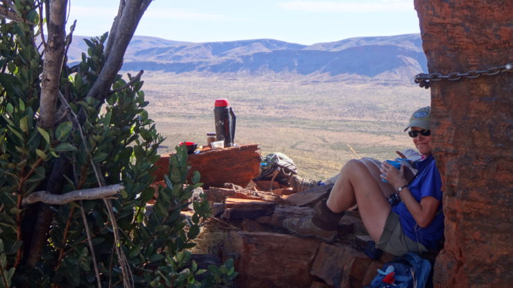 Mt Bruce Karijini