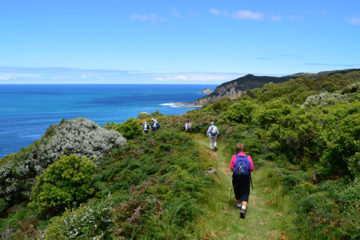 The Great Ocean Walk – Everything you need to know