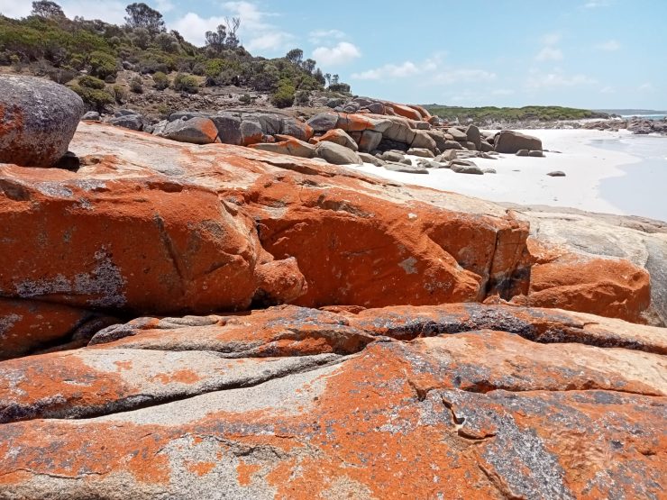 Tasmania is a geologists wonderland Bay of Fires