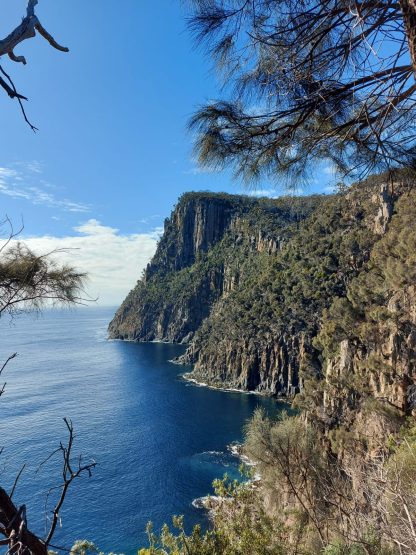 Tasmania is a geologists wonderland Fluted Capes