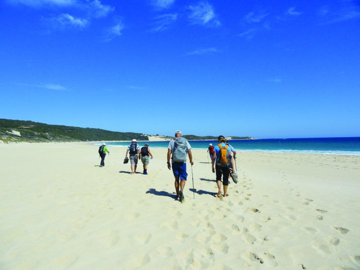 Sandy beach sections Cape to Cape Track