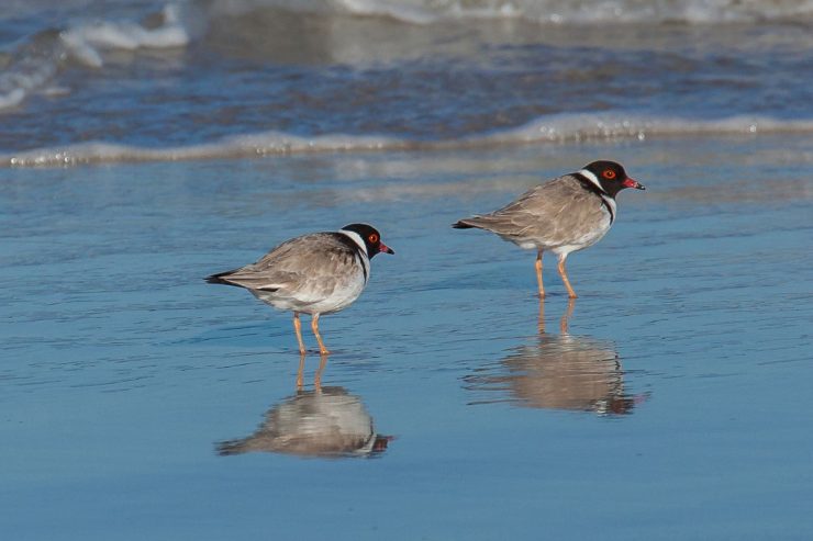 Kangaroo Island – Photography Guide