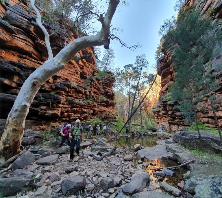 Alligator Gorge flinders ranges inspiration outdoors guided walking tours