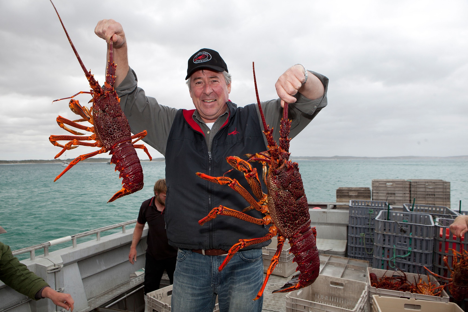 A catch of Southern Rock Lobster