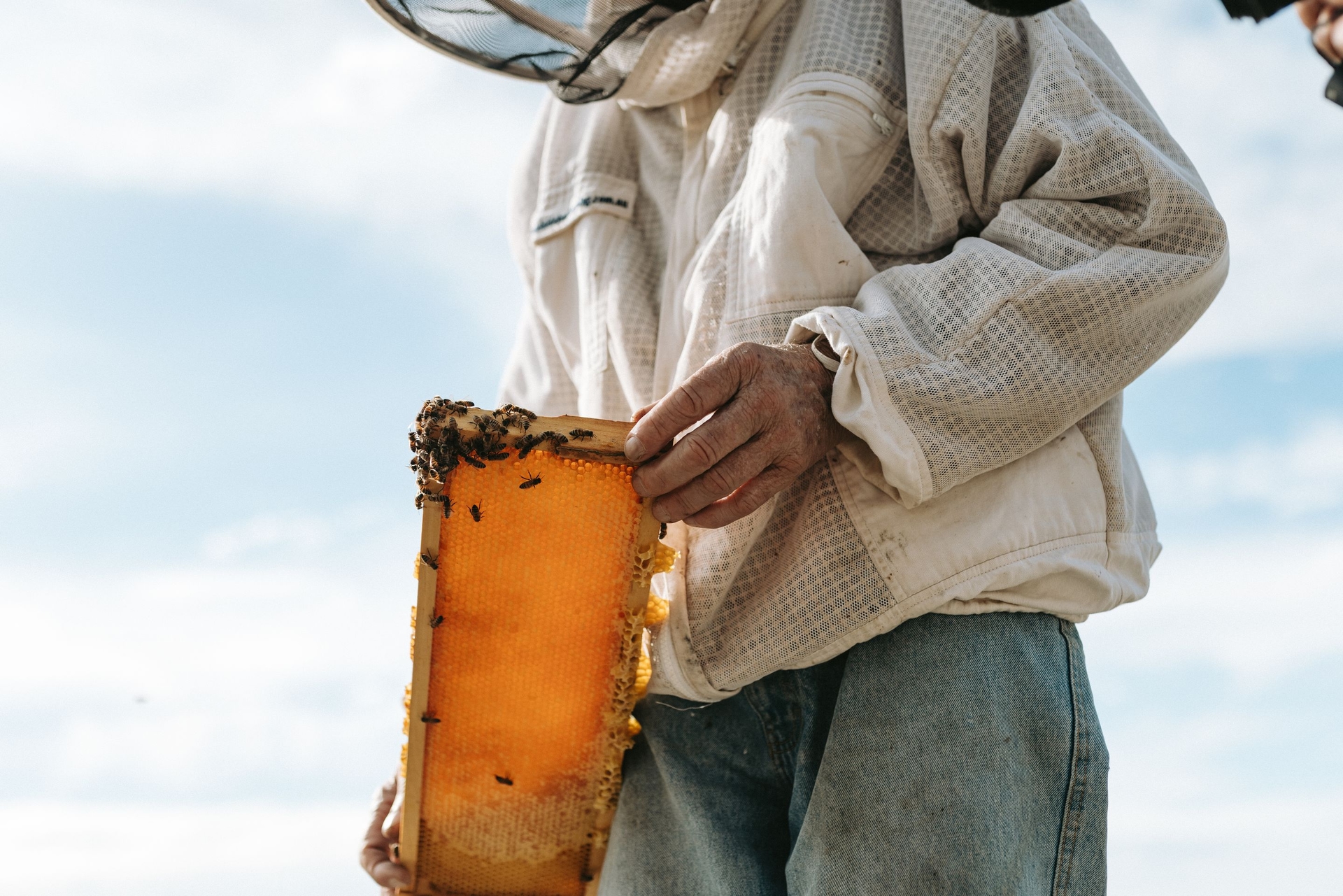 Cliffords Honey Farm