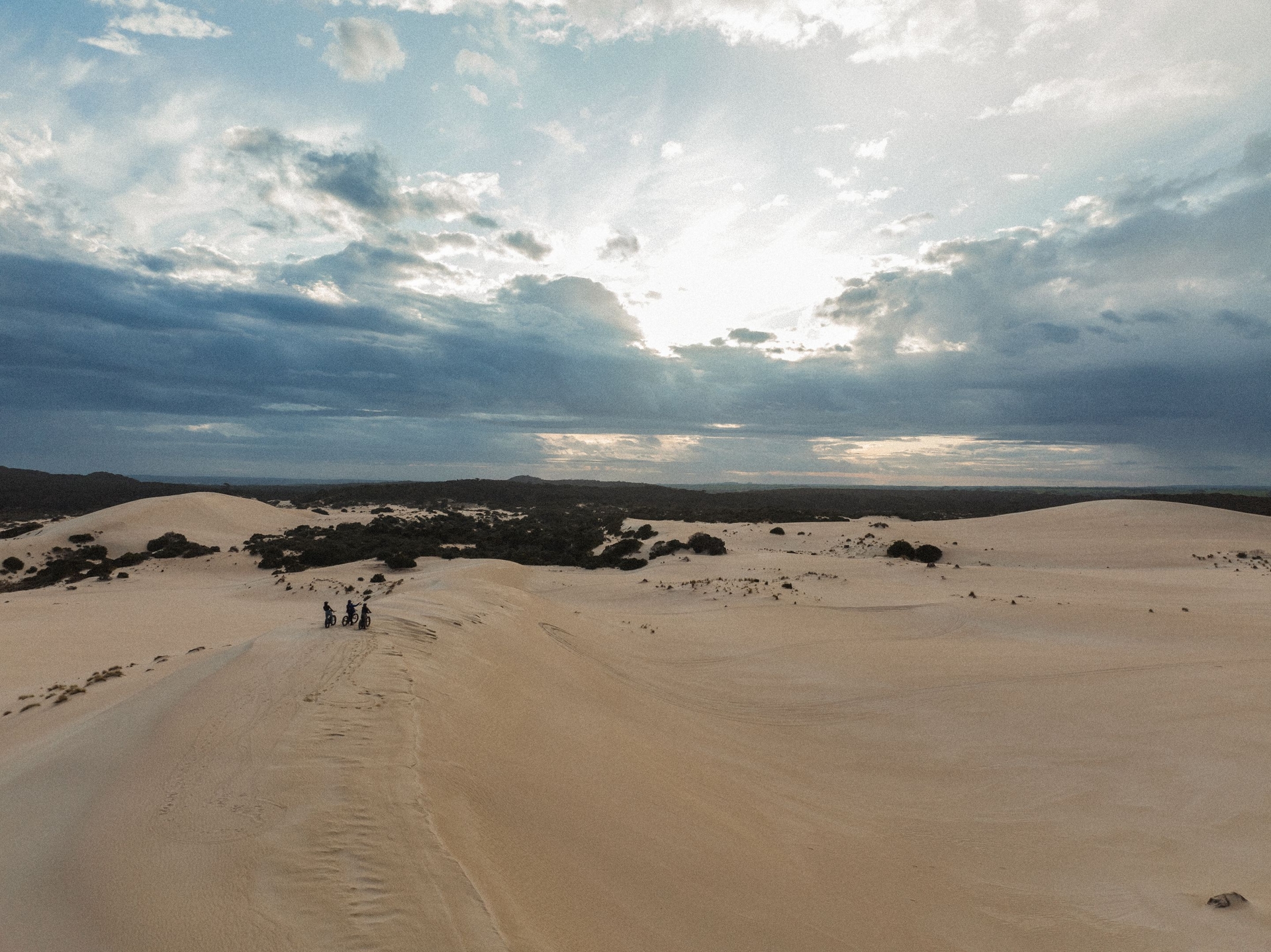 Little Sahara kangaroo island
