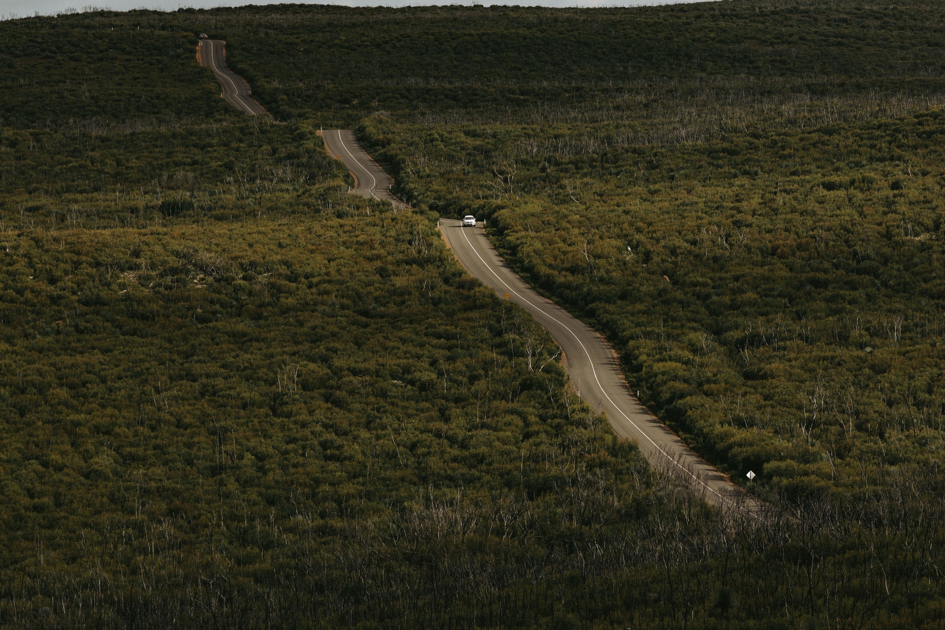 Flinders Chase winding road