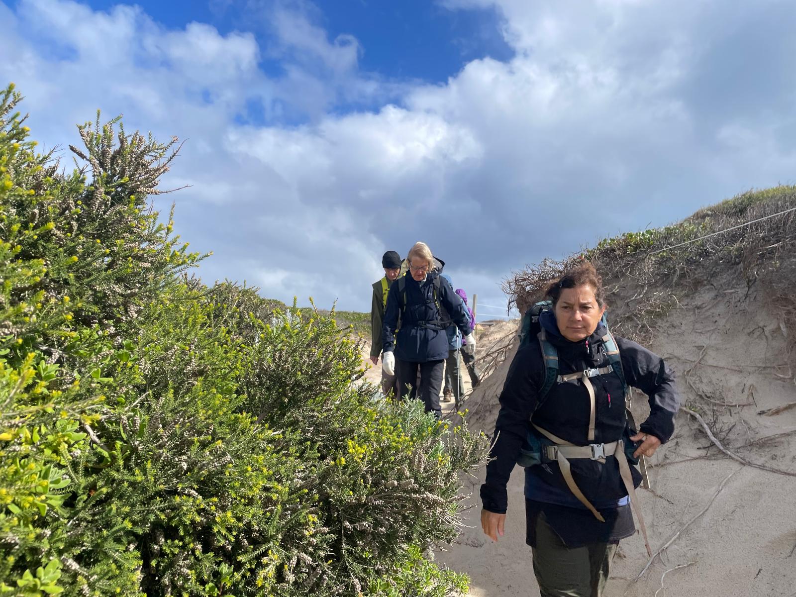 Guided Walking Tour: Cape to Cape Track