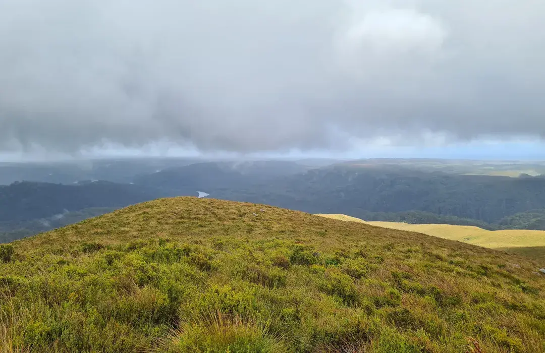 Mount Donaldson Summit Walk