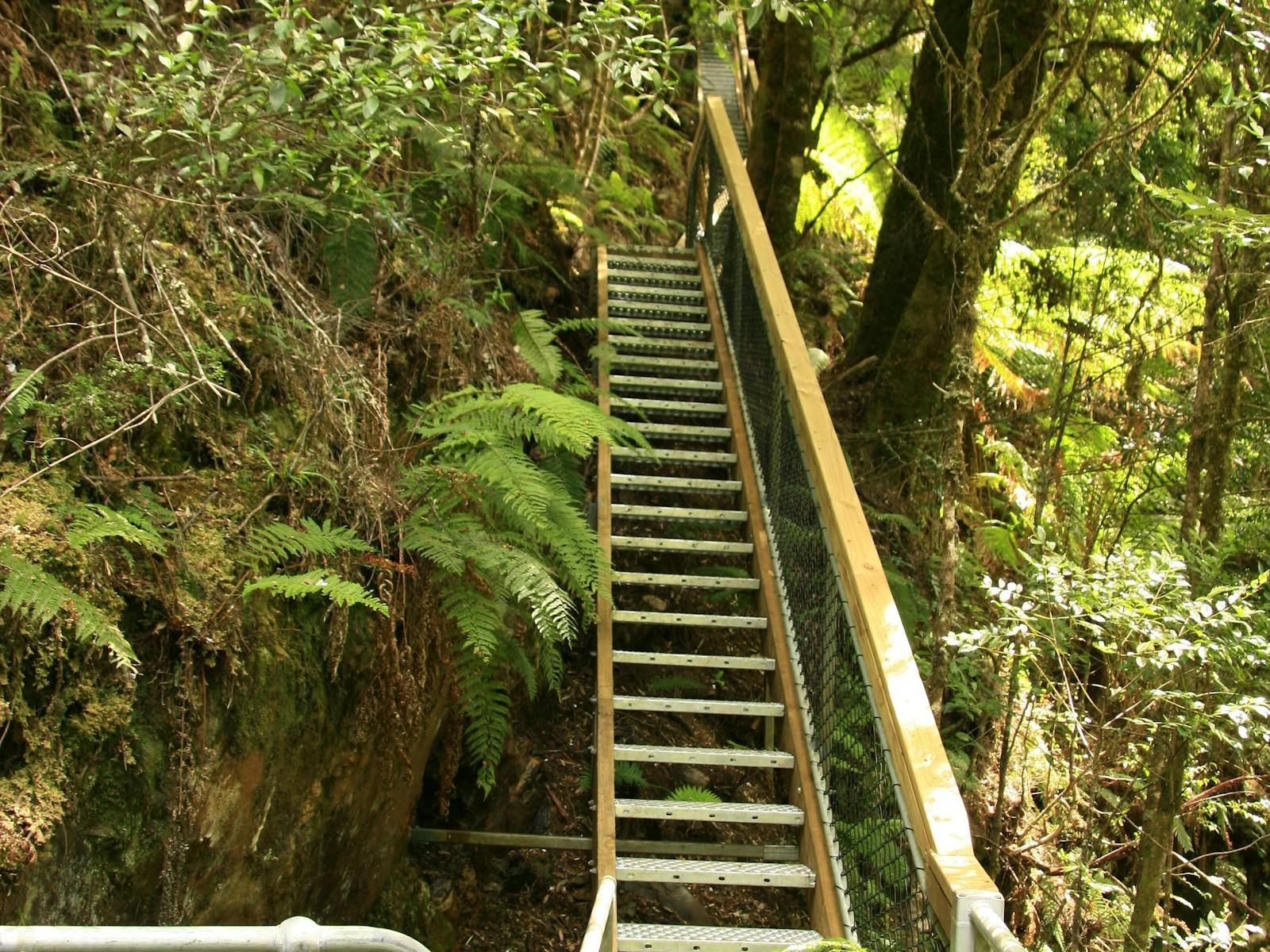 Philosopher Falls Rainforest Walk