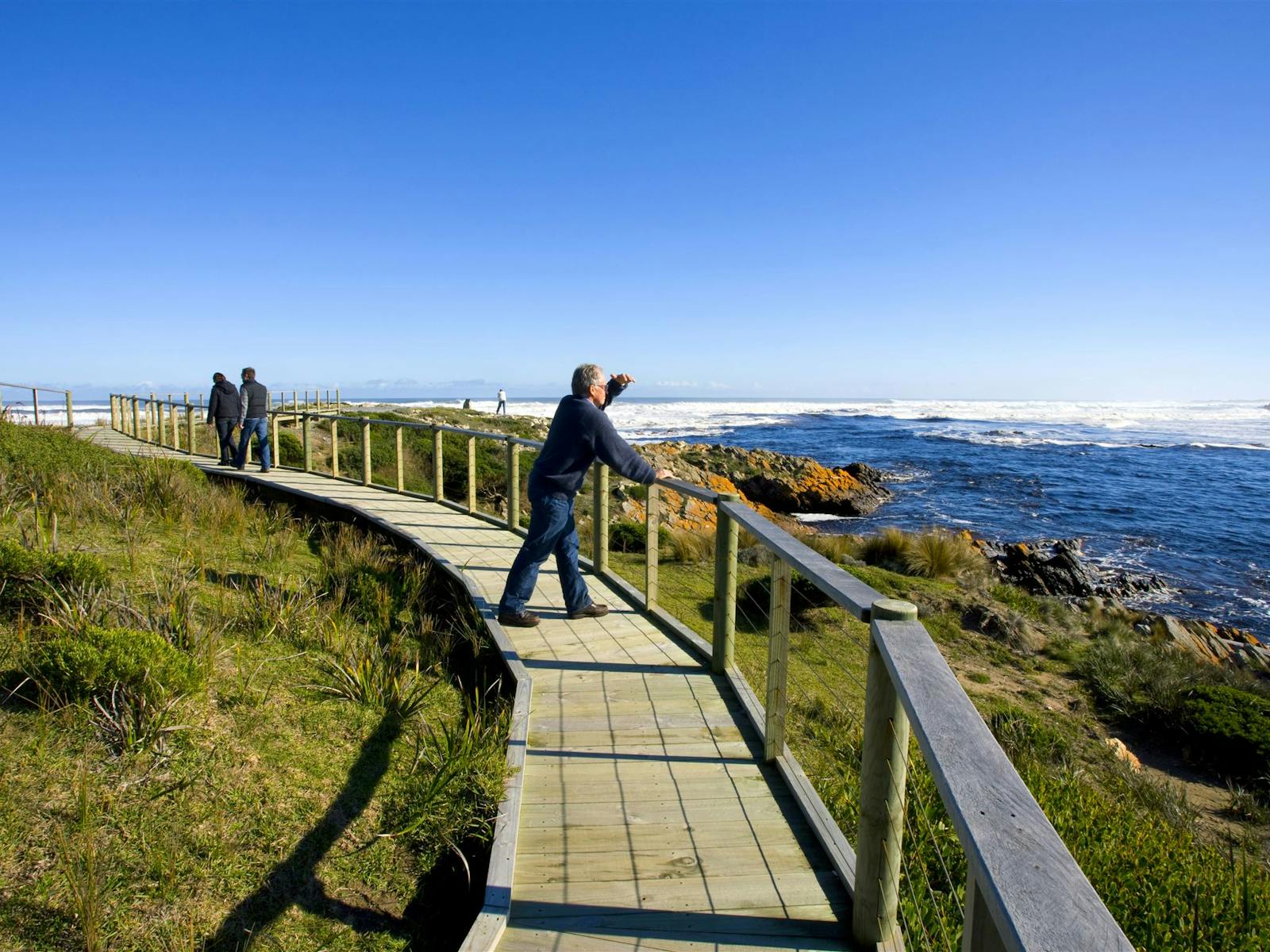 The Tarkine Coast Track